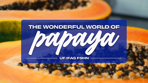 Card that says the wonderful world of papaya, UF IFAS FSHN