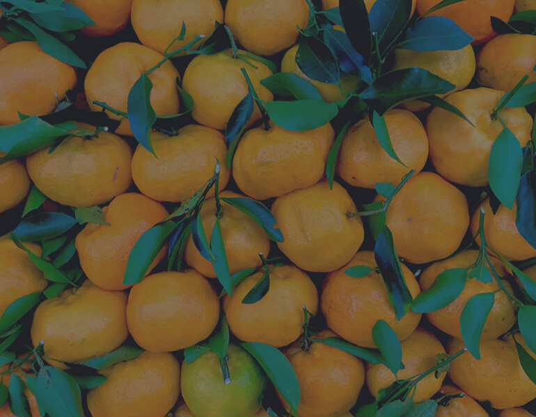 oranges with gray overlay