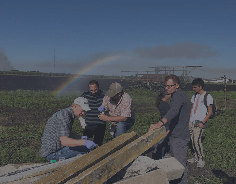 Extension members in a field with a rainbow in the background